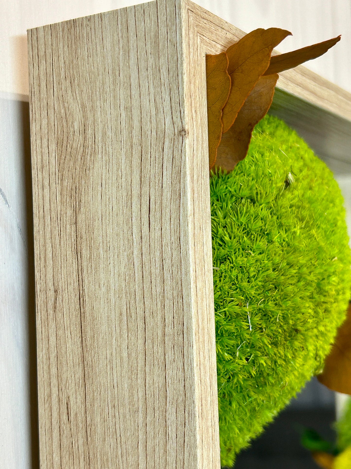 Miroir végétal stabilisé “Tu es belle”