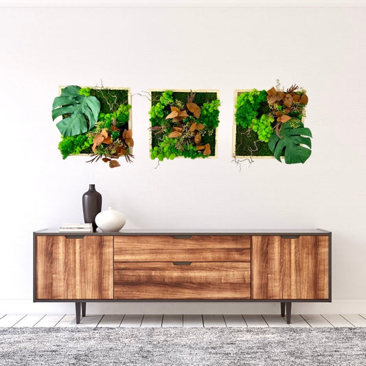 Ensemble de 3 tableaux végétaux stabilisés “Atmosphère tropicale”