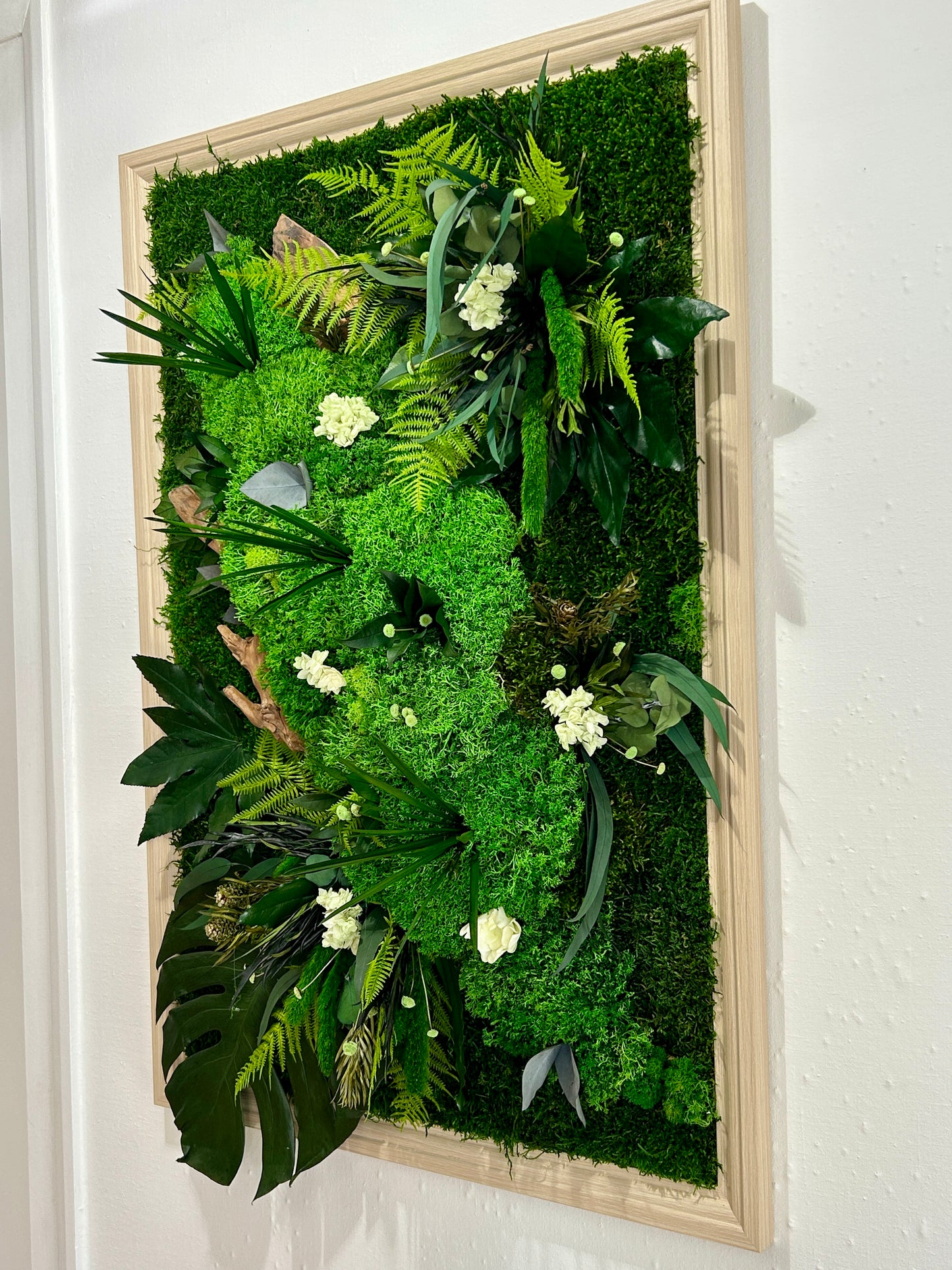 Tableau végétal stabilisé « Canopée »