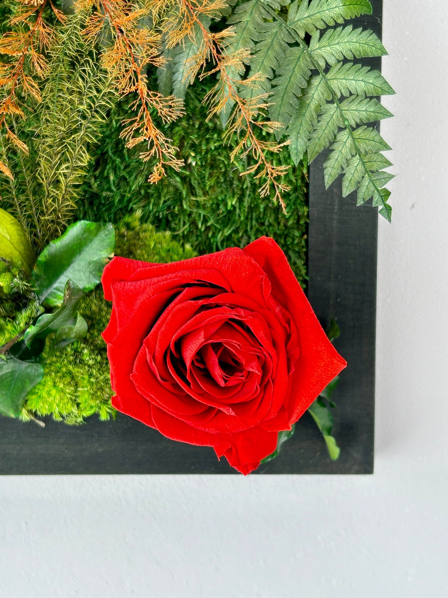 Tableau végétal stabilisé “Rosalia”