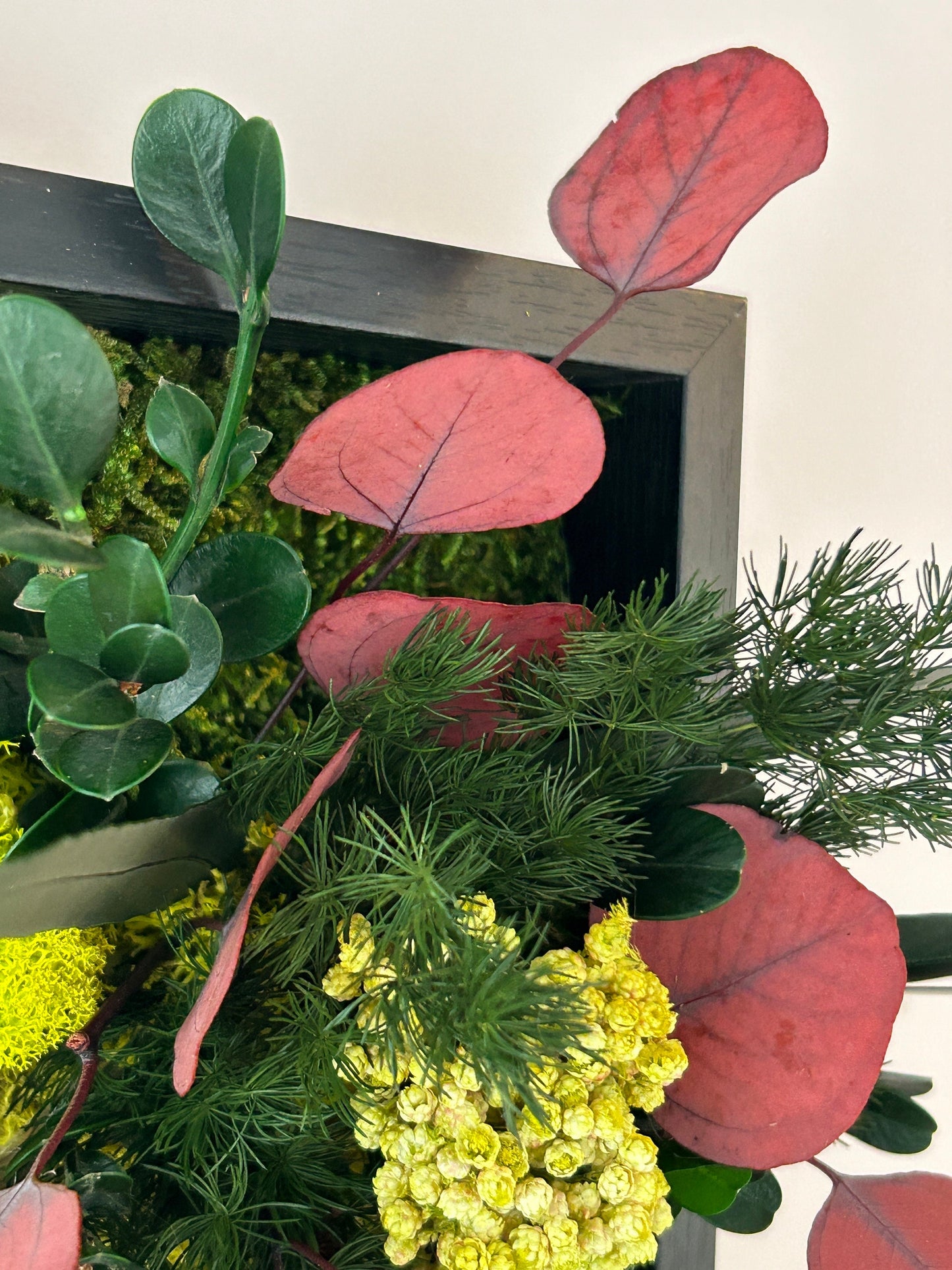 Miroir végétal stabilisé “Élia”