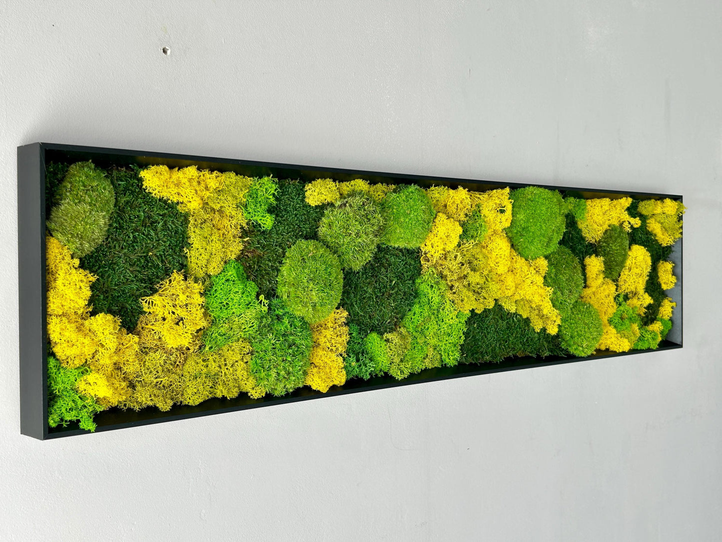 Tableau végétal stabilisé « Terra Nova »