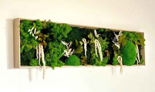 Tableau végétal stabilisé “Sylve”