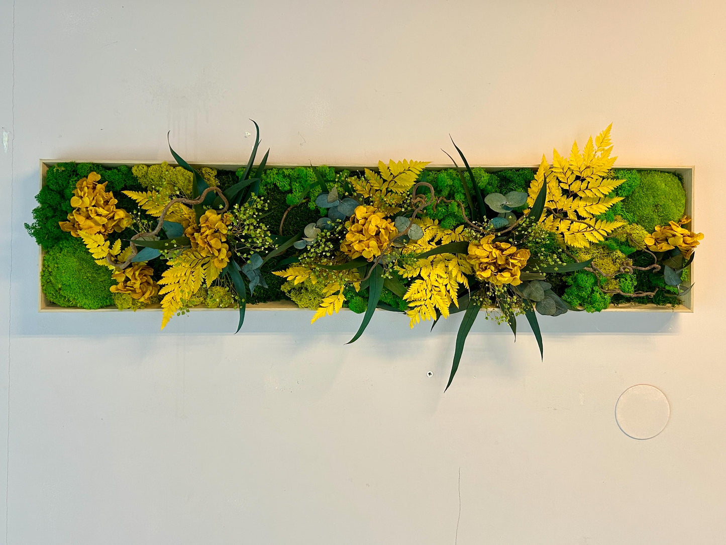 Tableau végétal stabilisé “Éclat Solaire”