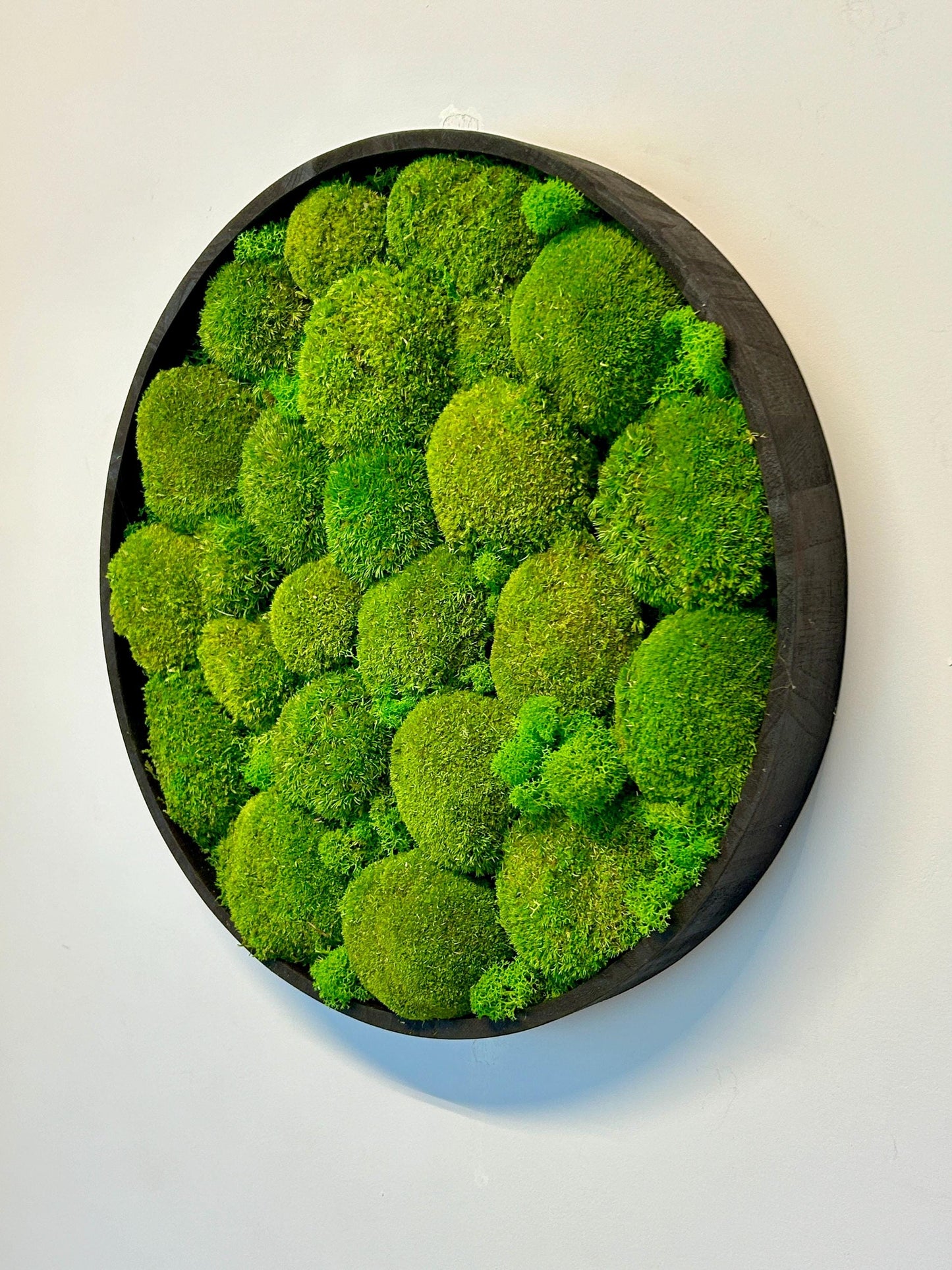 Tableau végétal stabilisé “Oasis”
