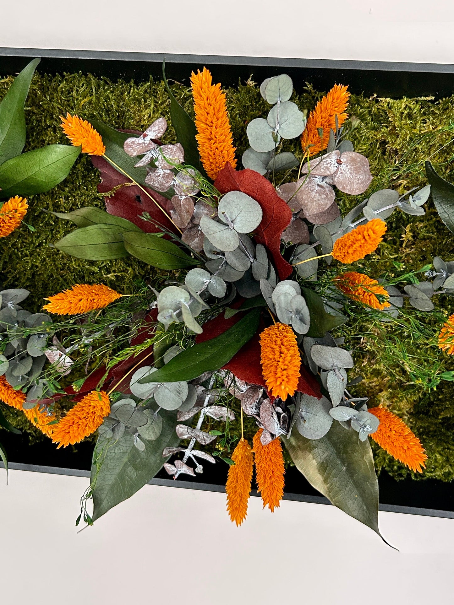 Cadre végétal stabilisé « Solea »