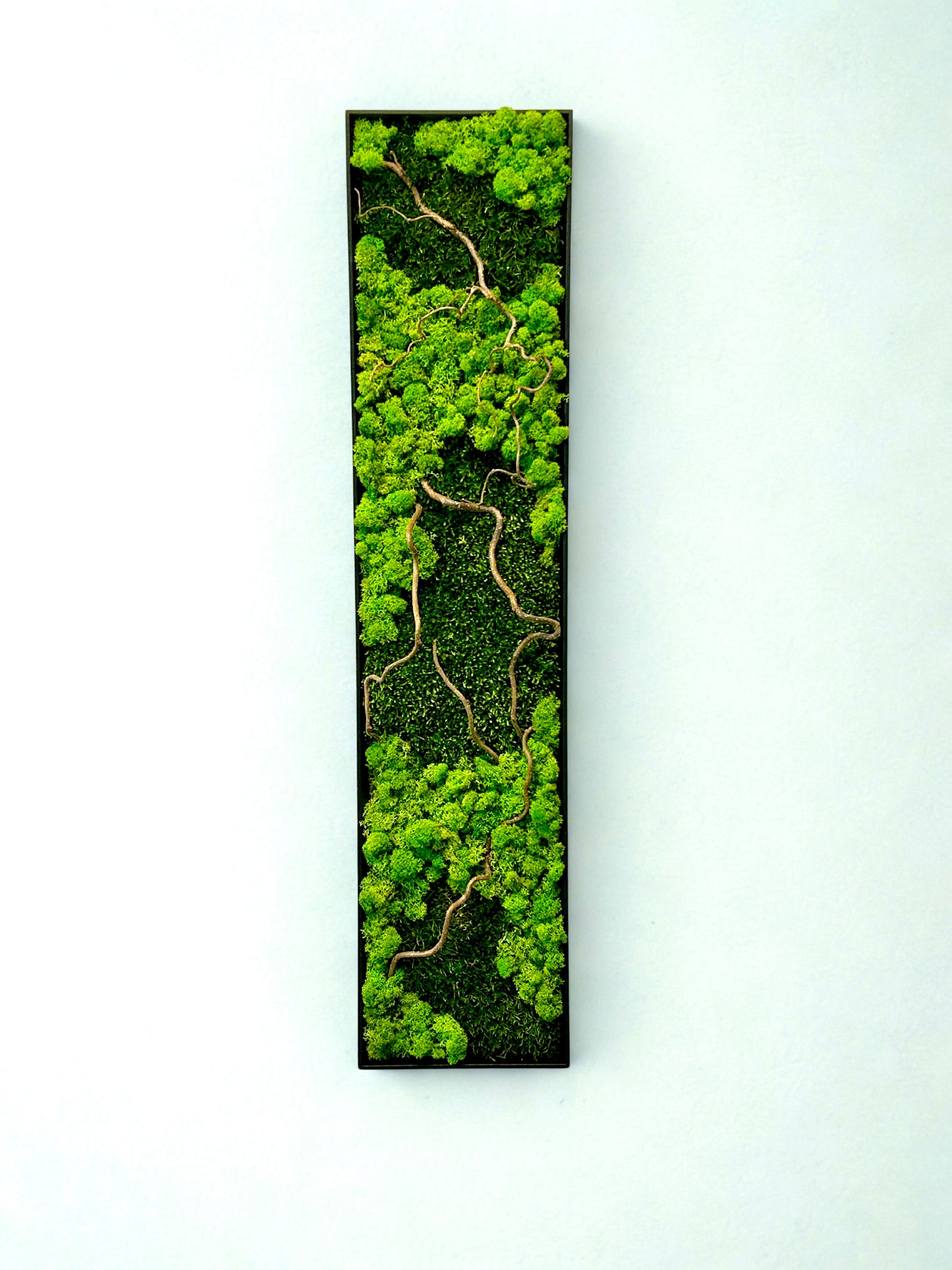 Tableau végétal stabilisé « Sylva »