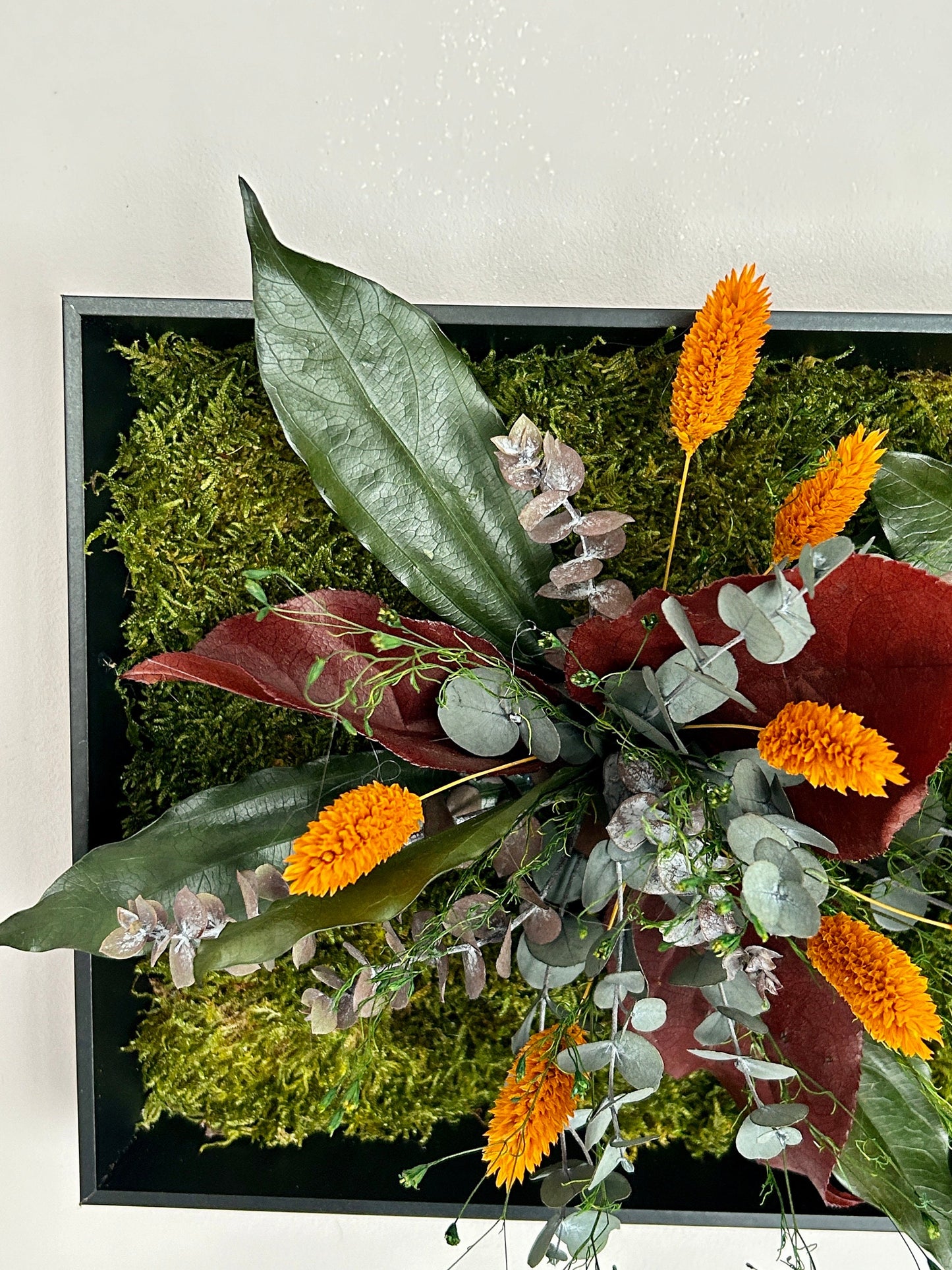 Cadre végétal stabilisé « Solea »