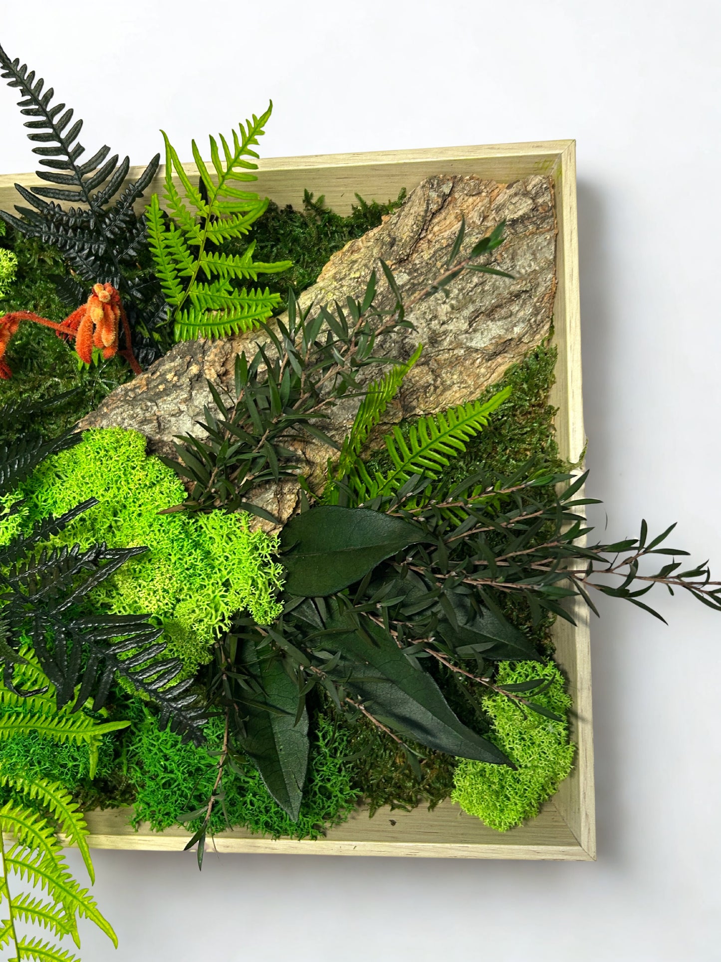 Tableau panoramique végétal stabilisé « Kiana »