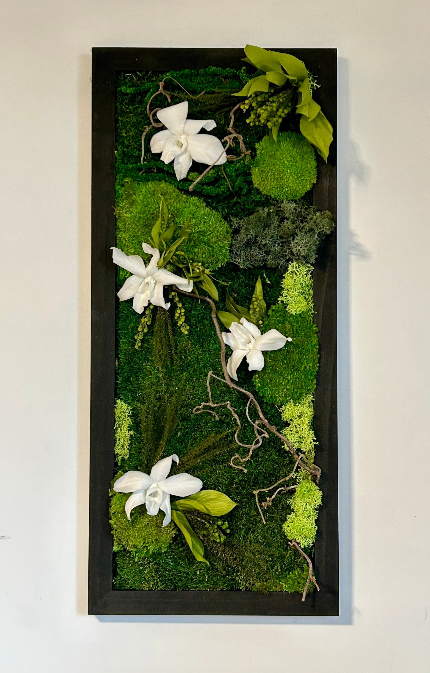 Tableau végétal stabilisé “Cattleya”