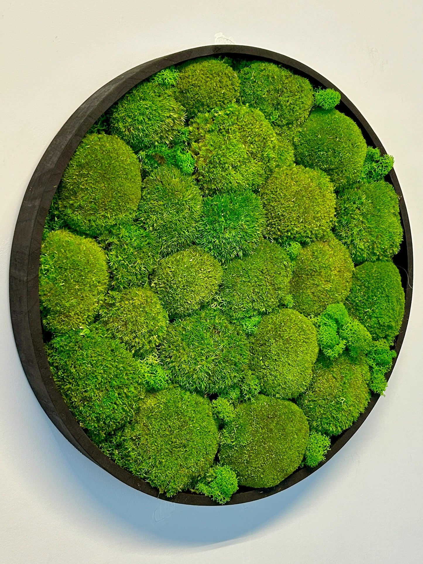 Tableau végétal stabilisé “Oasis”