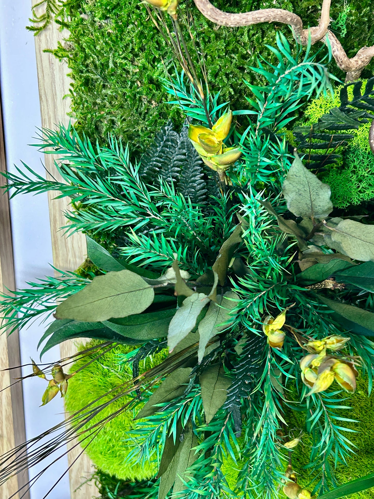 Tableau végétal stabilisé XXL « Tongass »