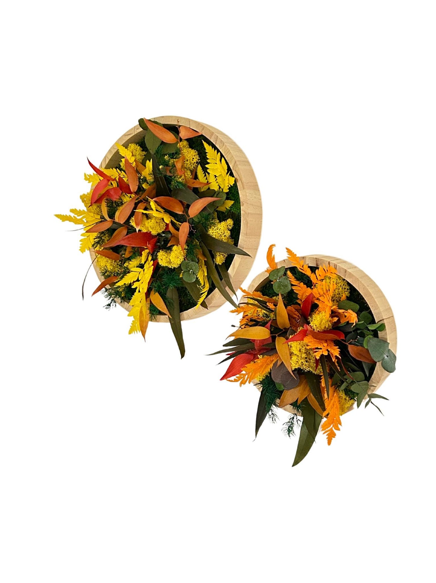 Duo de cadres végétaux stabilisés « Solana »