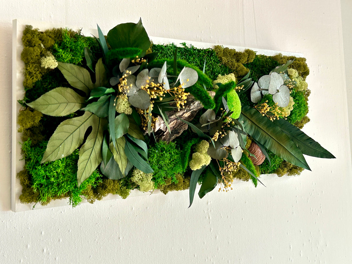 Tableau végétal stabilisé « Jade » – Cadre végétal panoramique – Mousses et plantes naturelles – Décoration murale artisanale