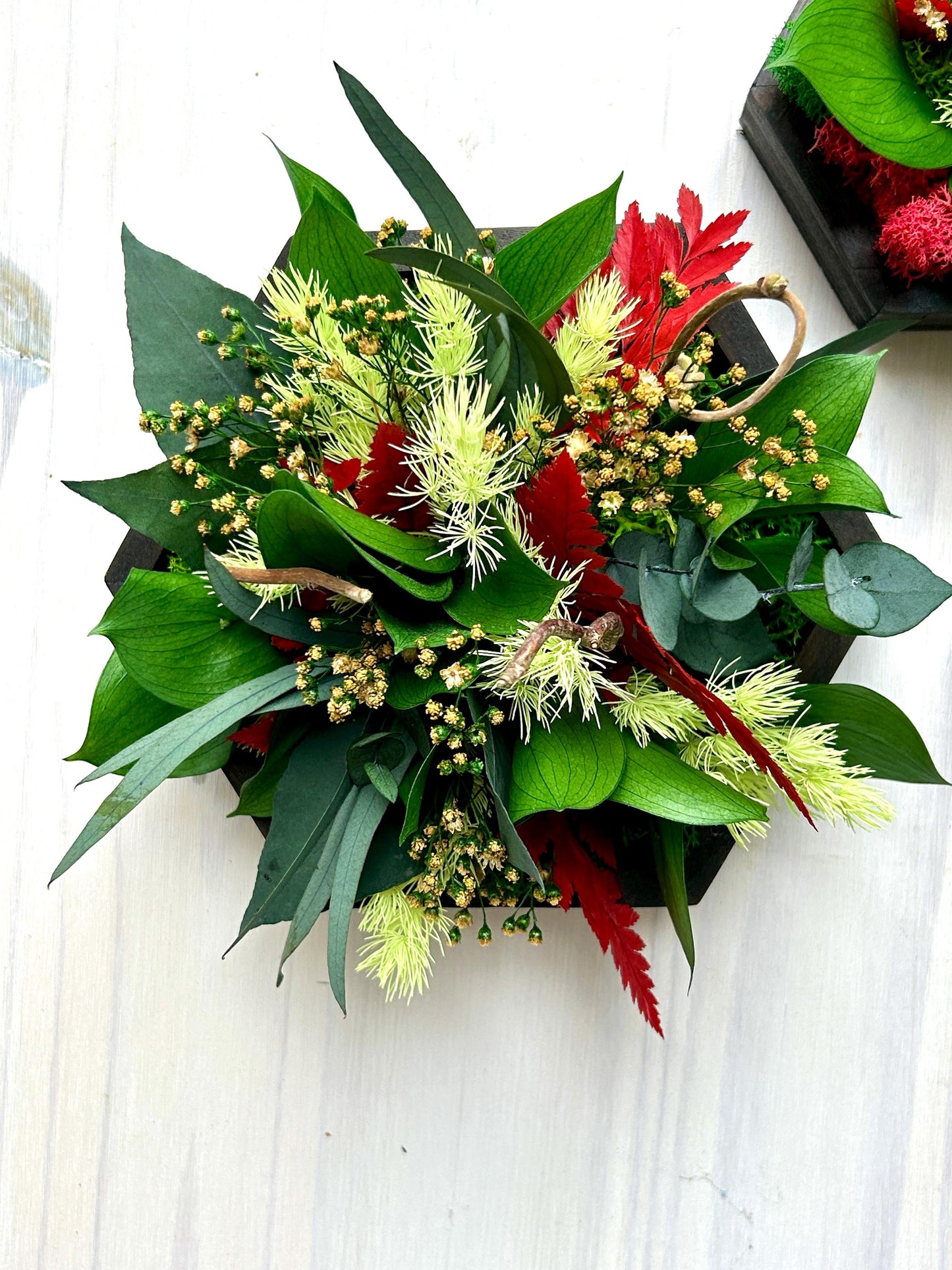 Ensemble de 4 cadres végétaux stabilisés – “Jeu de formes”