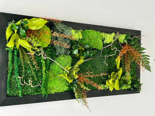 Tableau végétal stabilisé « Alice » - Cadeau nature – Décoration zen