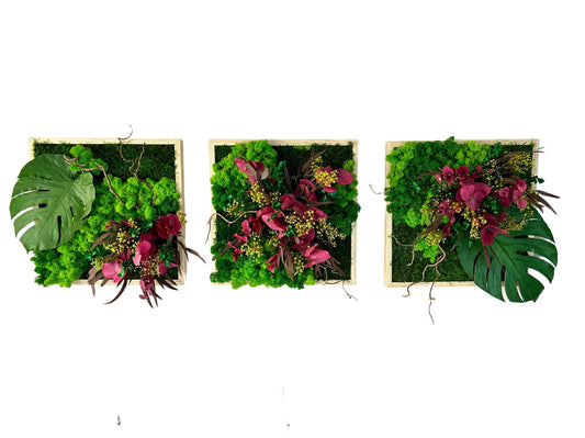 Trio de cadres végétaux stabilisés « Serena »