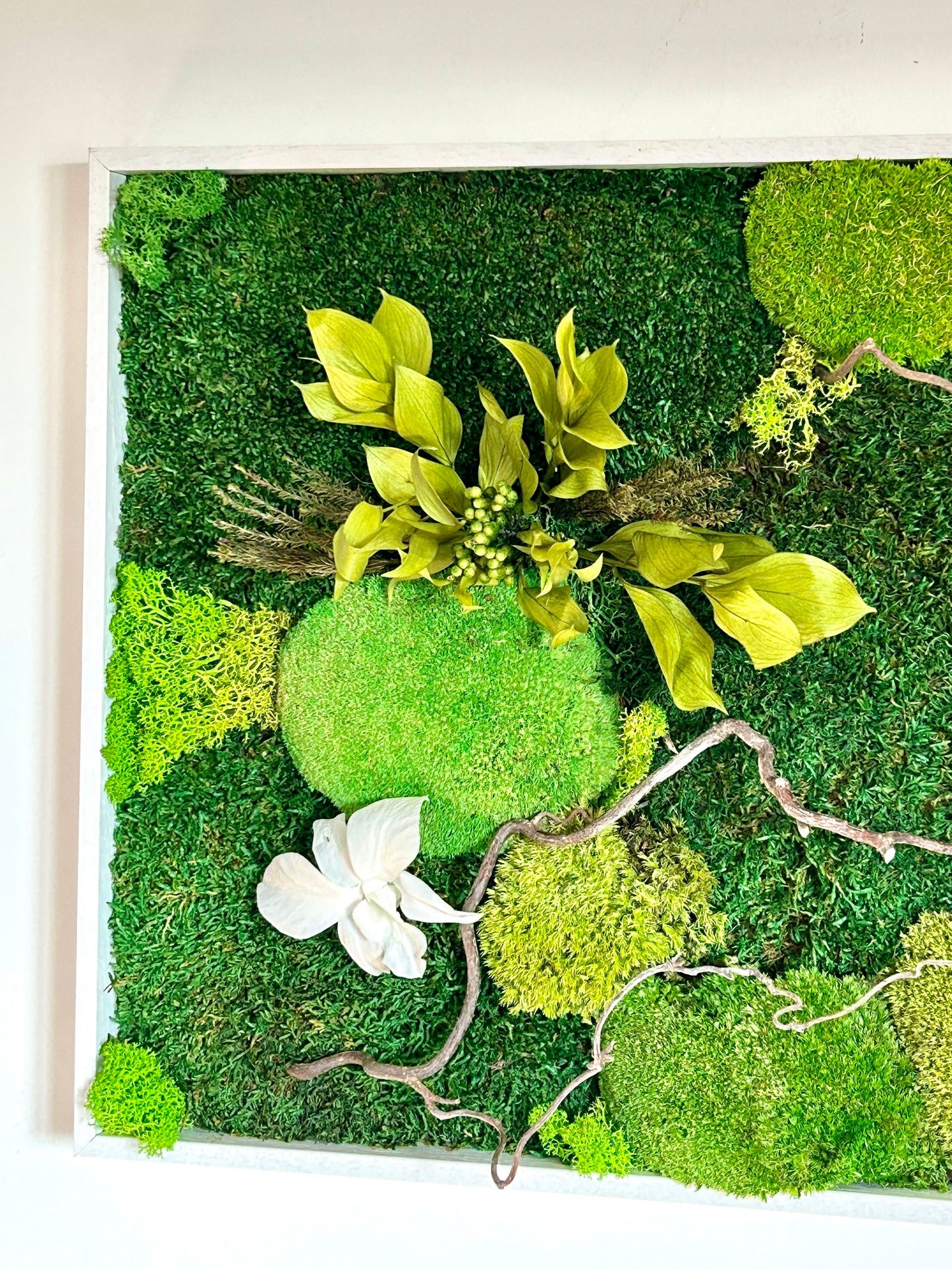 Panneau végétal stabilisé «Eden» avec orchidées blanches