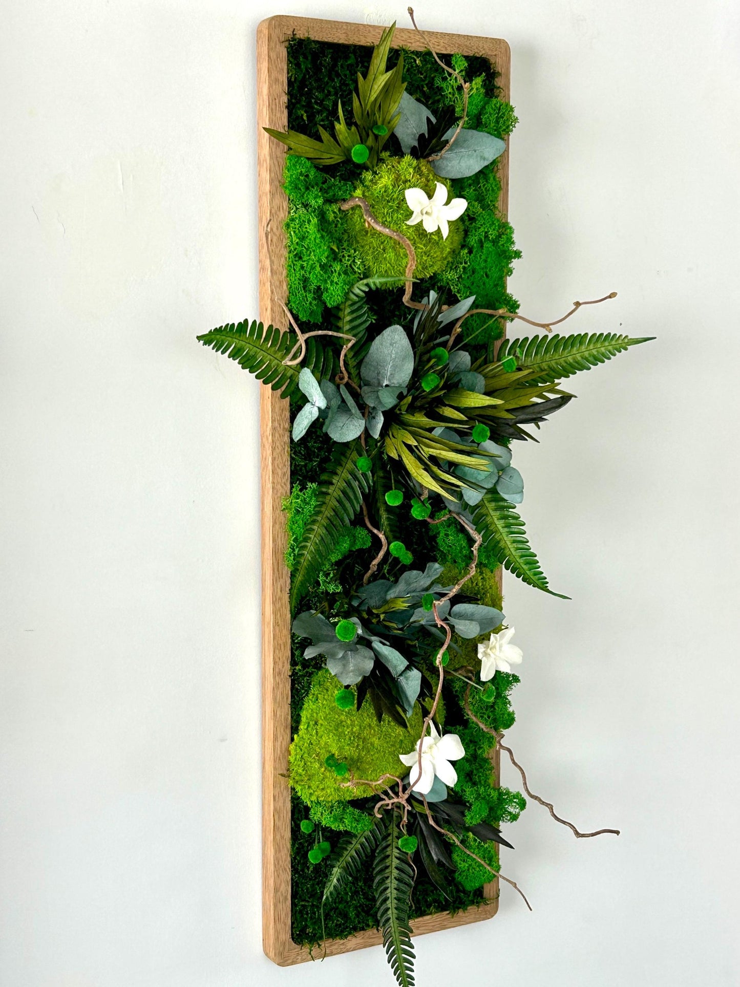 Tableau végétal stabilisé “Calista”