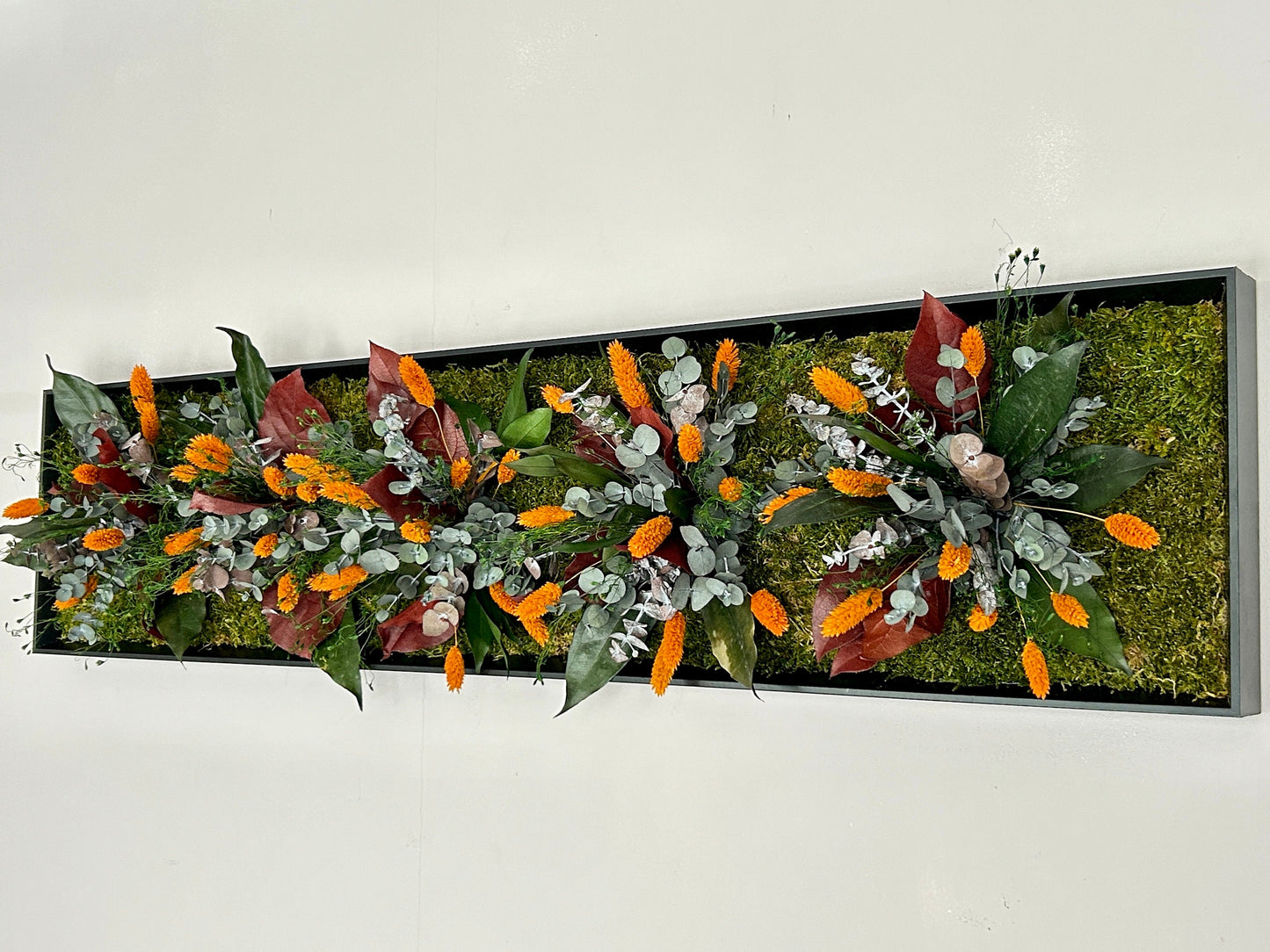 Cadre végétal stabilisé « Solea »