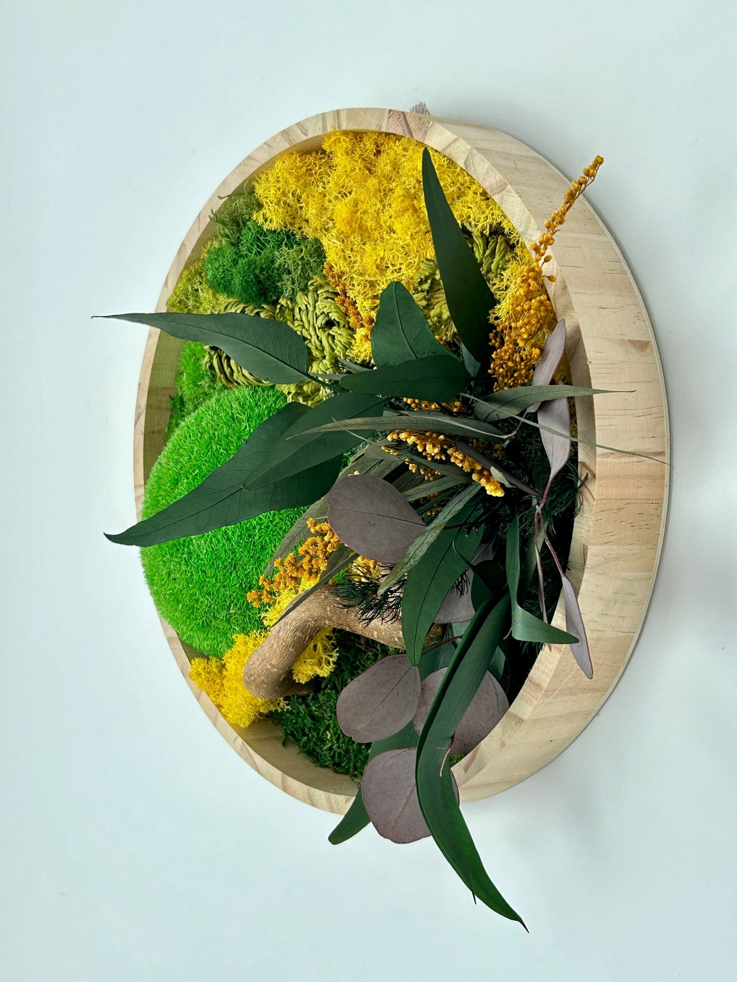 Tableau végétal stabilisé “Solaria”