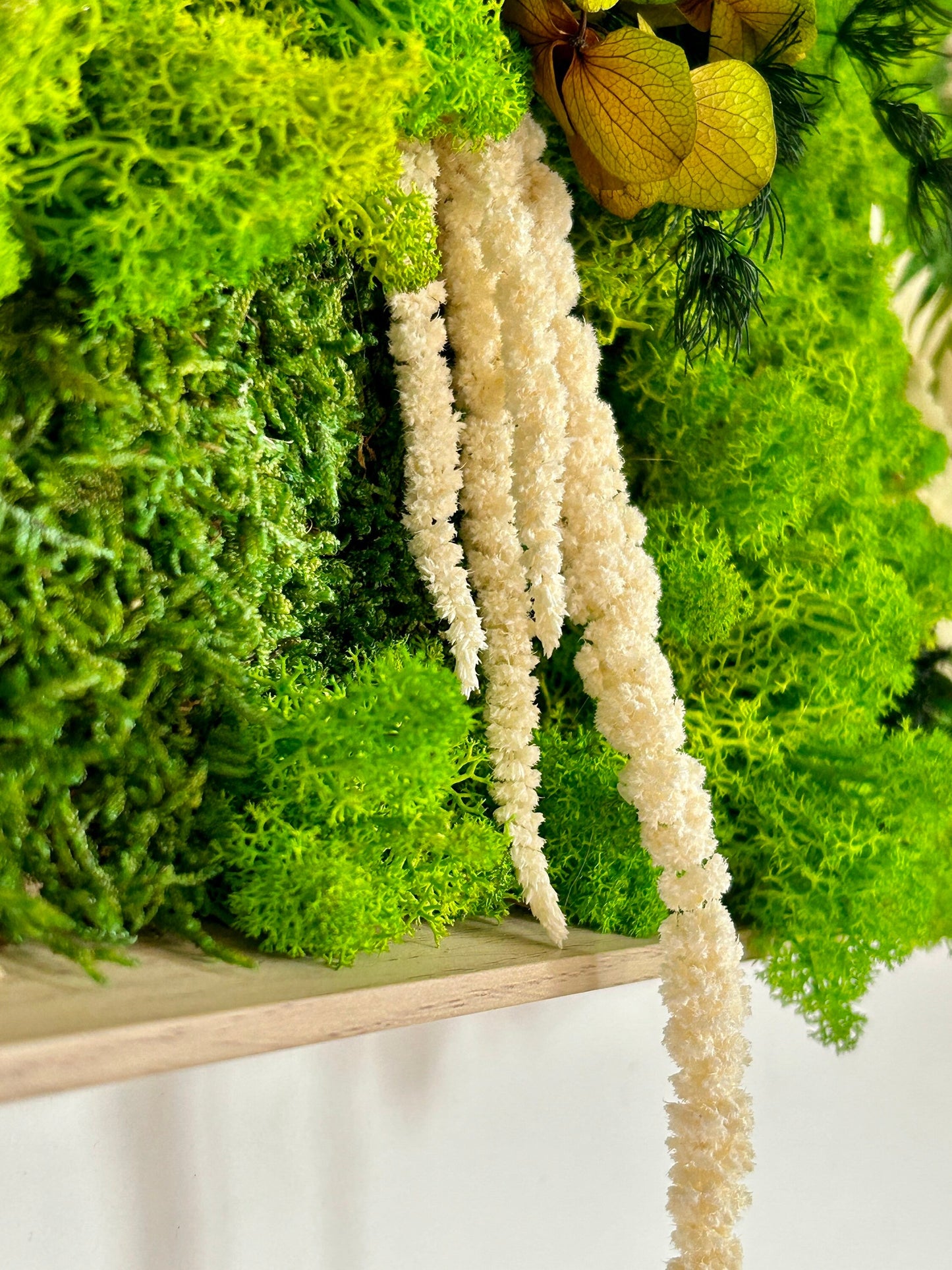 Tableau végétal stabilisé “Sylve”