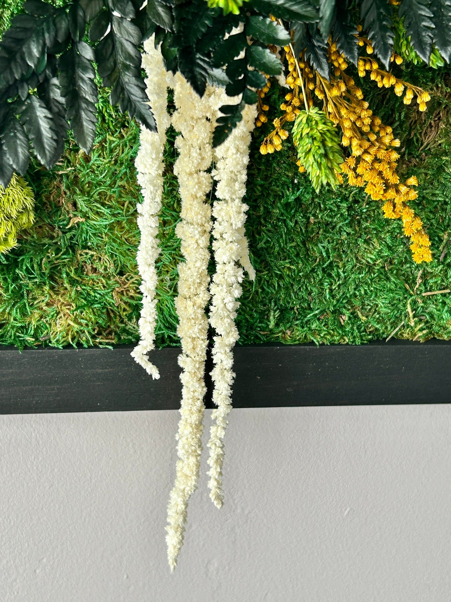 Détail de tableau végétal stabilisé avec lichen et amarante tombante