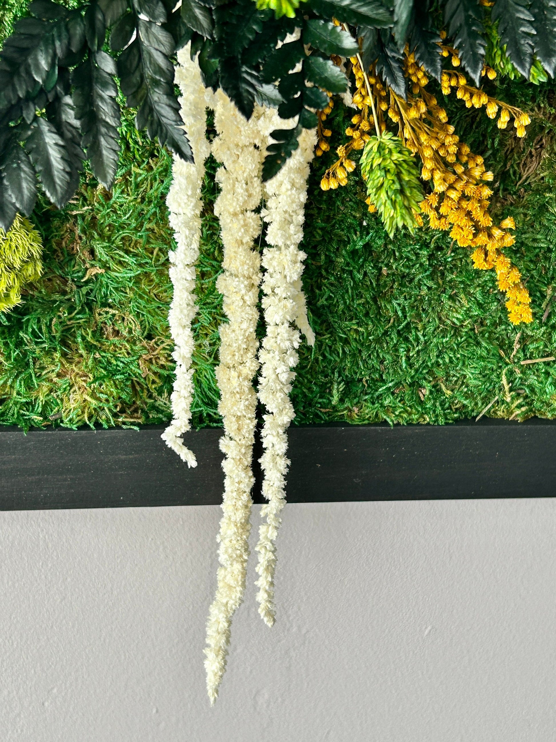 Détail de tableau végétal stabilisé avec lichen et amarante tombante