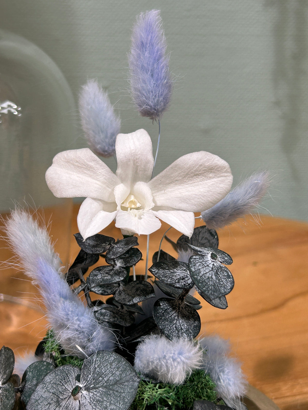Orchidée blanche sous cloche en verre – Fleurs stabilisées Céleste