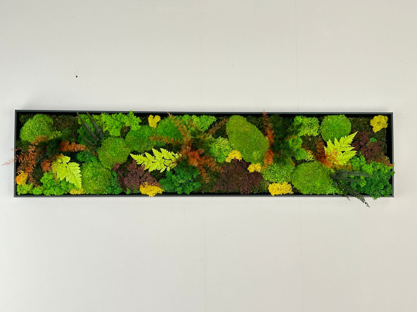 Tableau végétal stabilisé panoramique « Aria »