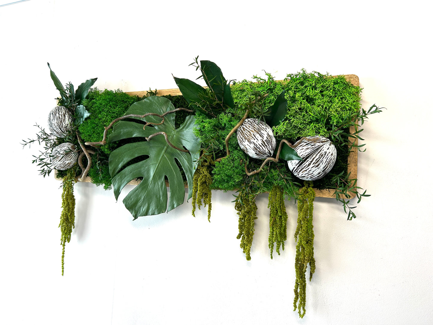 Tableau végétal stabilisé “Amazonia”