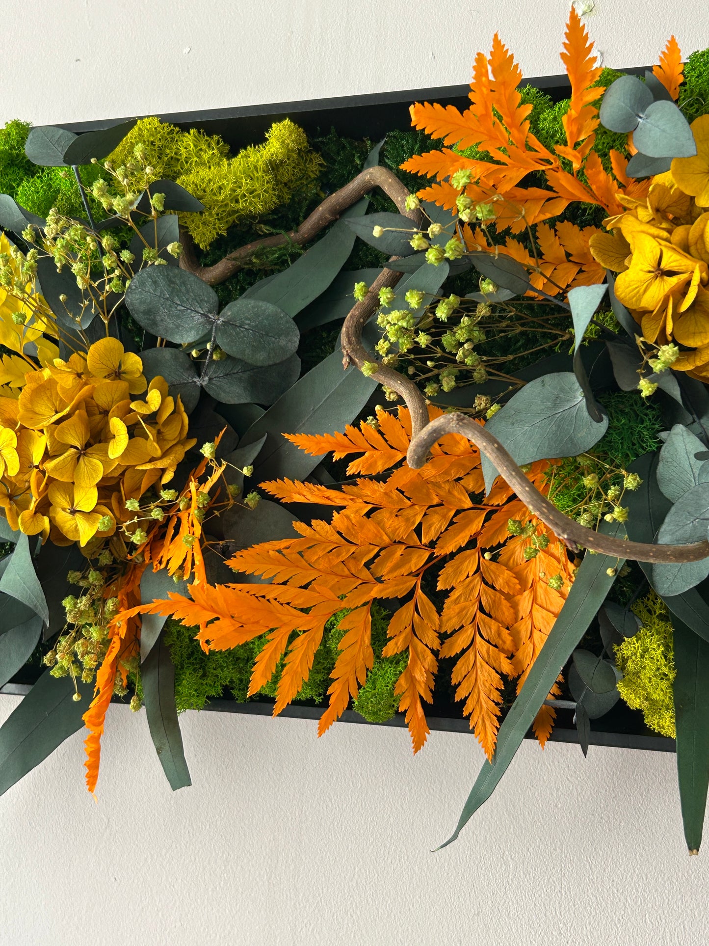 Tableau végétal stabilisé “Rayon Ambre”