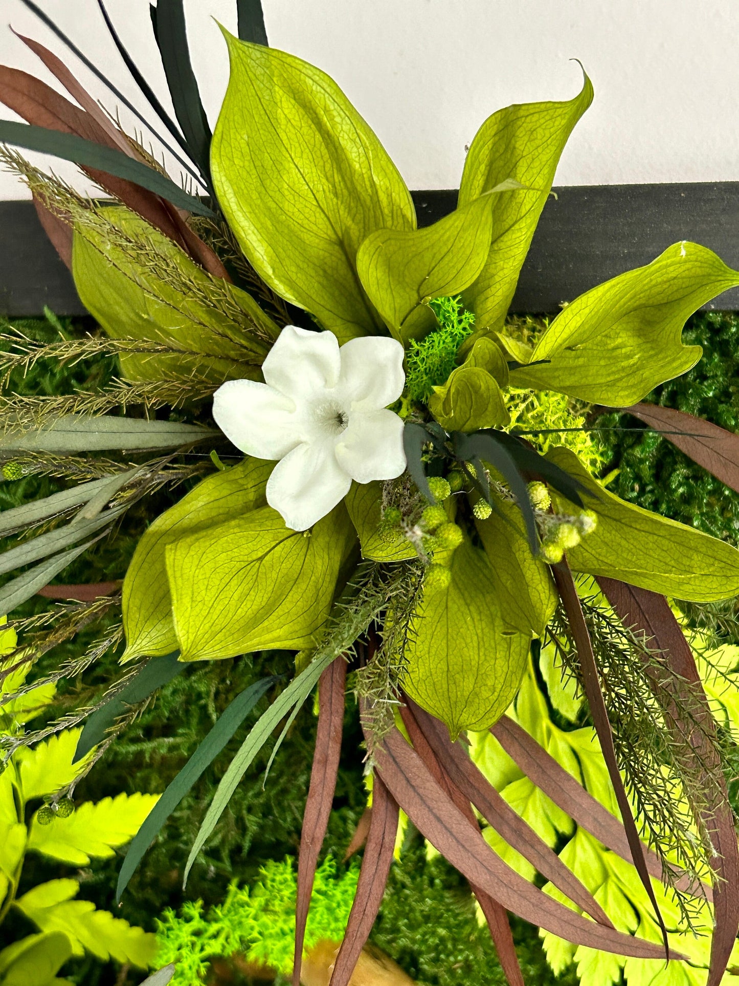 Tableau végétal stabilisé "Jungle"