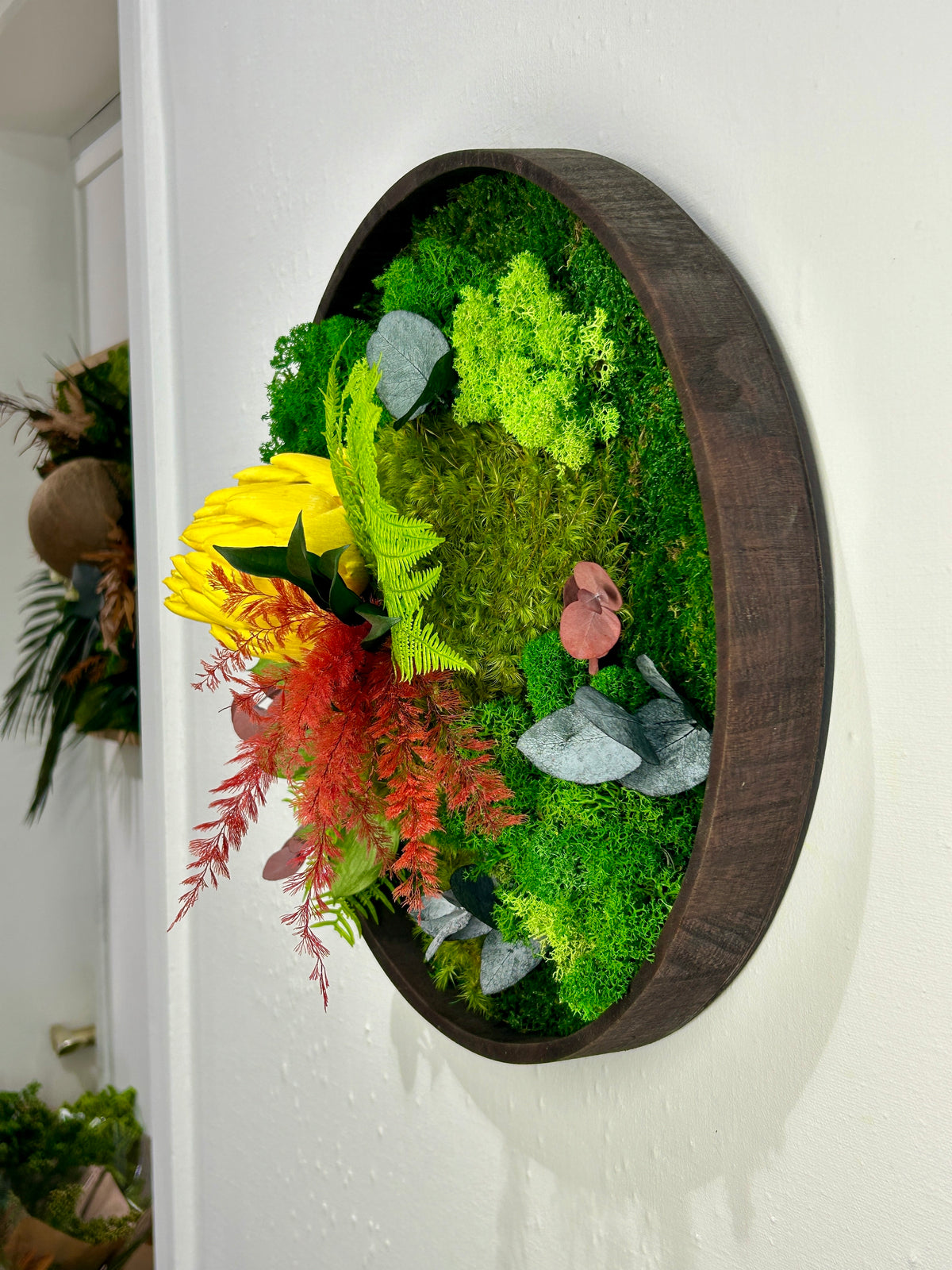 Tableau végétal stabilisé rond « Artichaut »