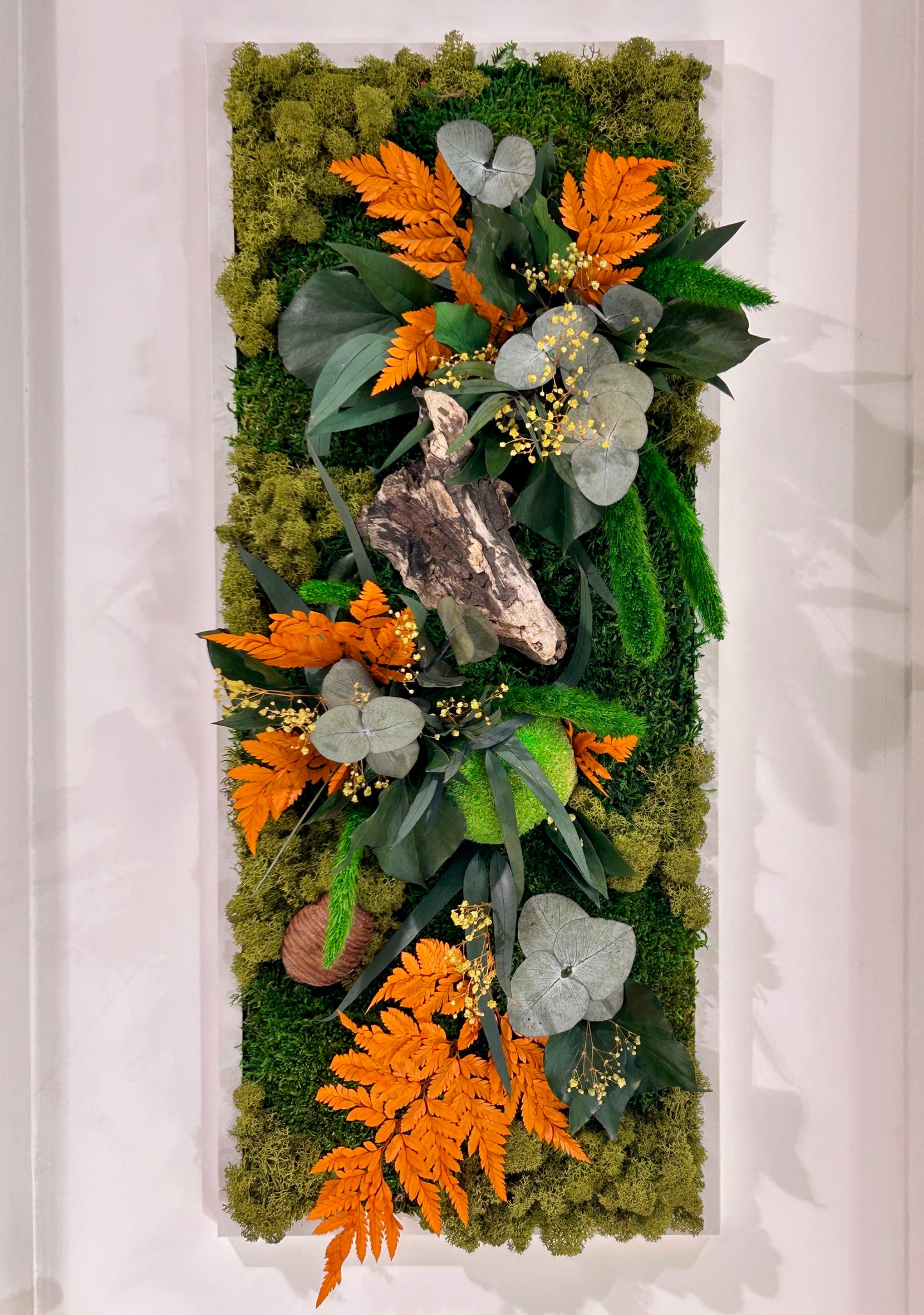 Tableau végétal stabilisé « Forêt des Elfes »