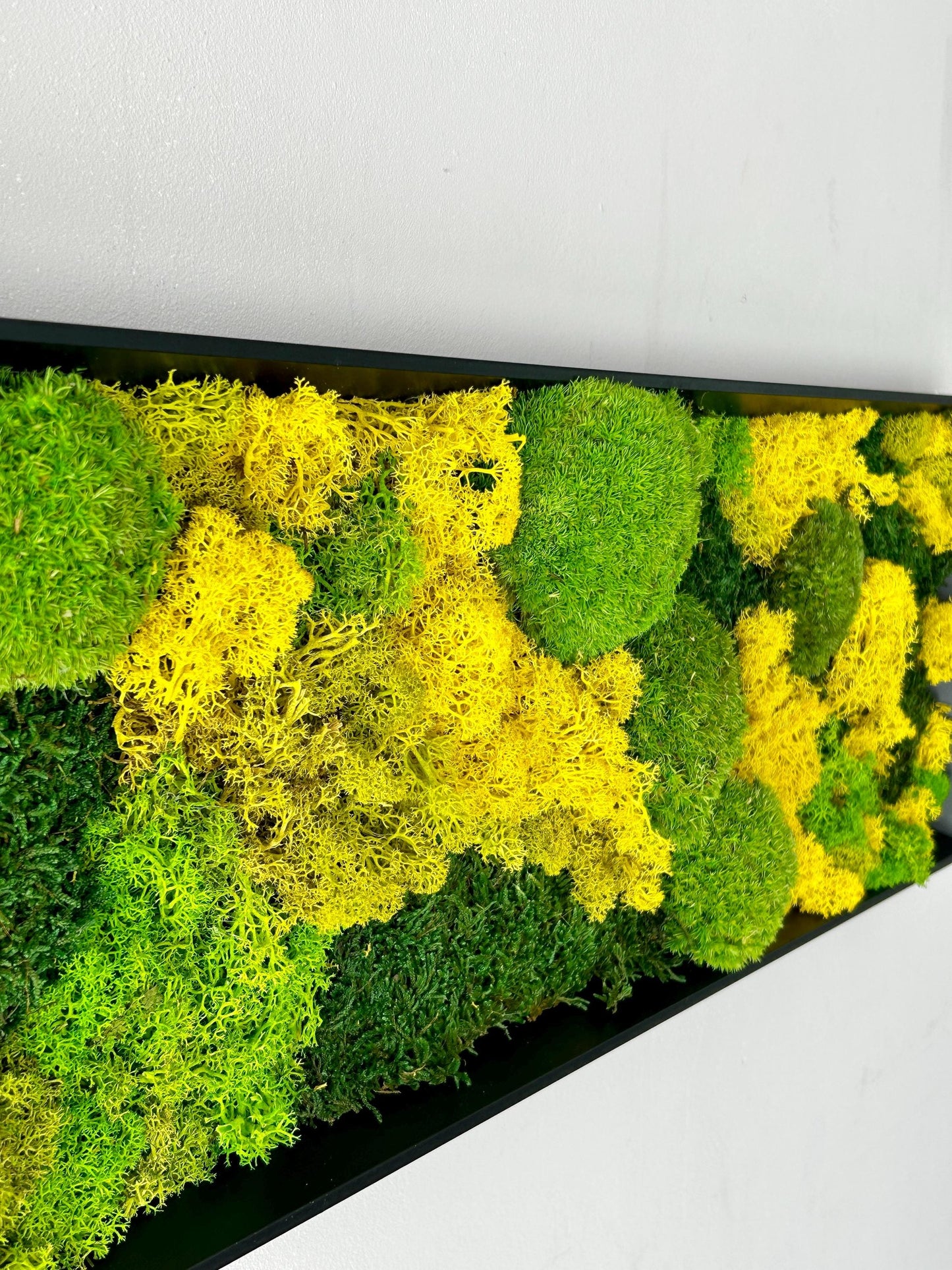 Tableau végétal stabilisé « Terra Nova »