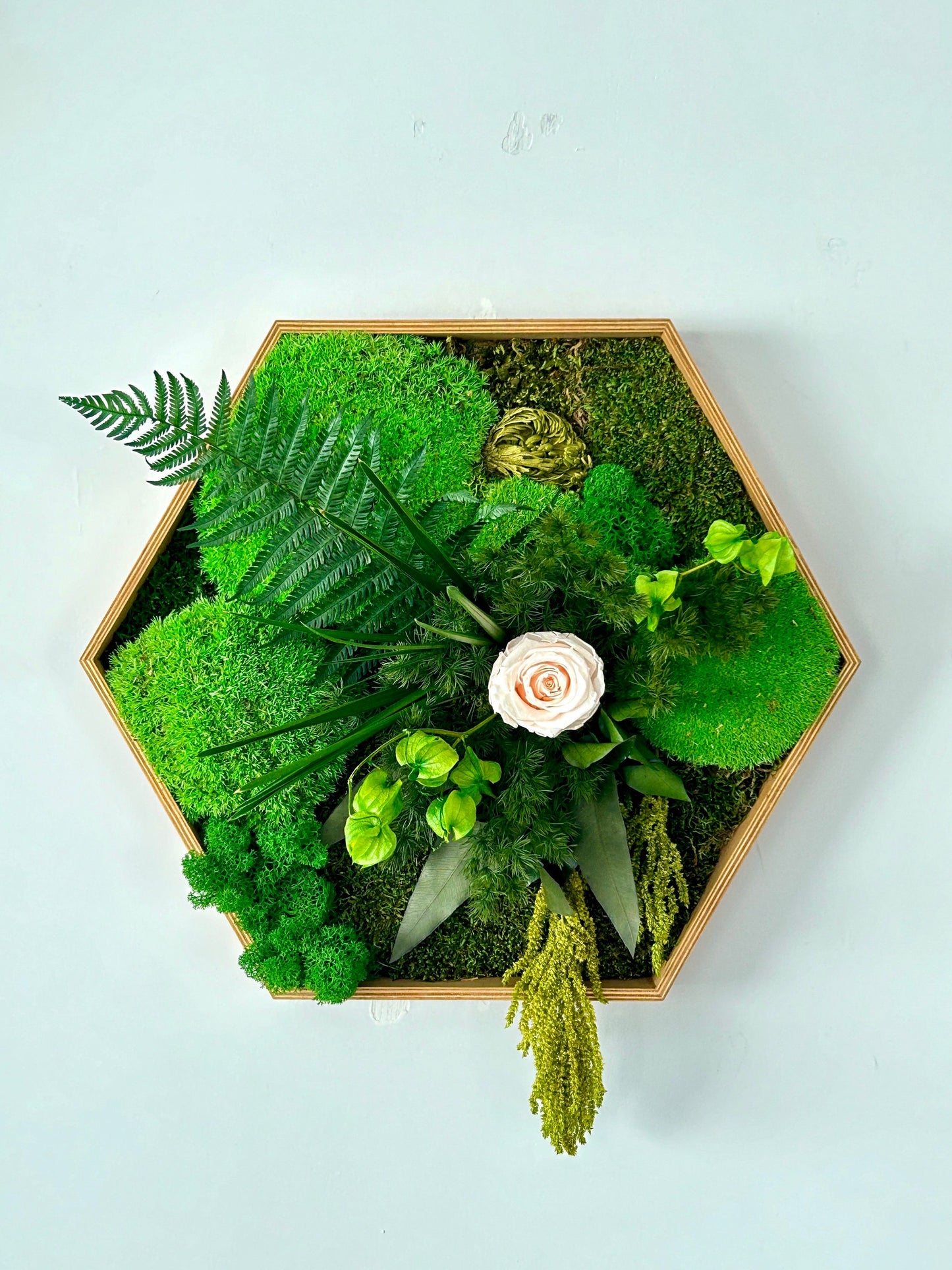 Cadre végétal stabilisé hexagonal « Isola »