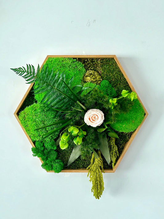 Cadre végétal stabilisé hexagonal « Isola »