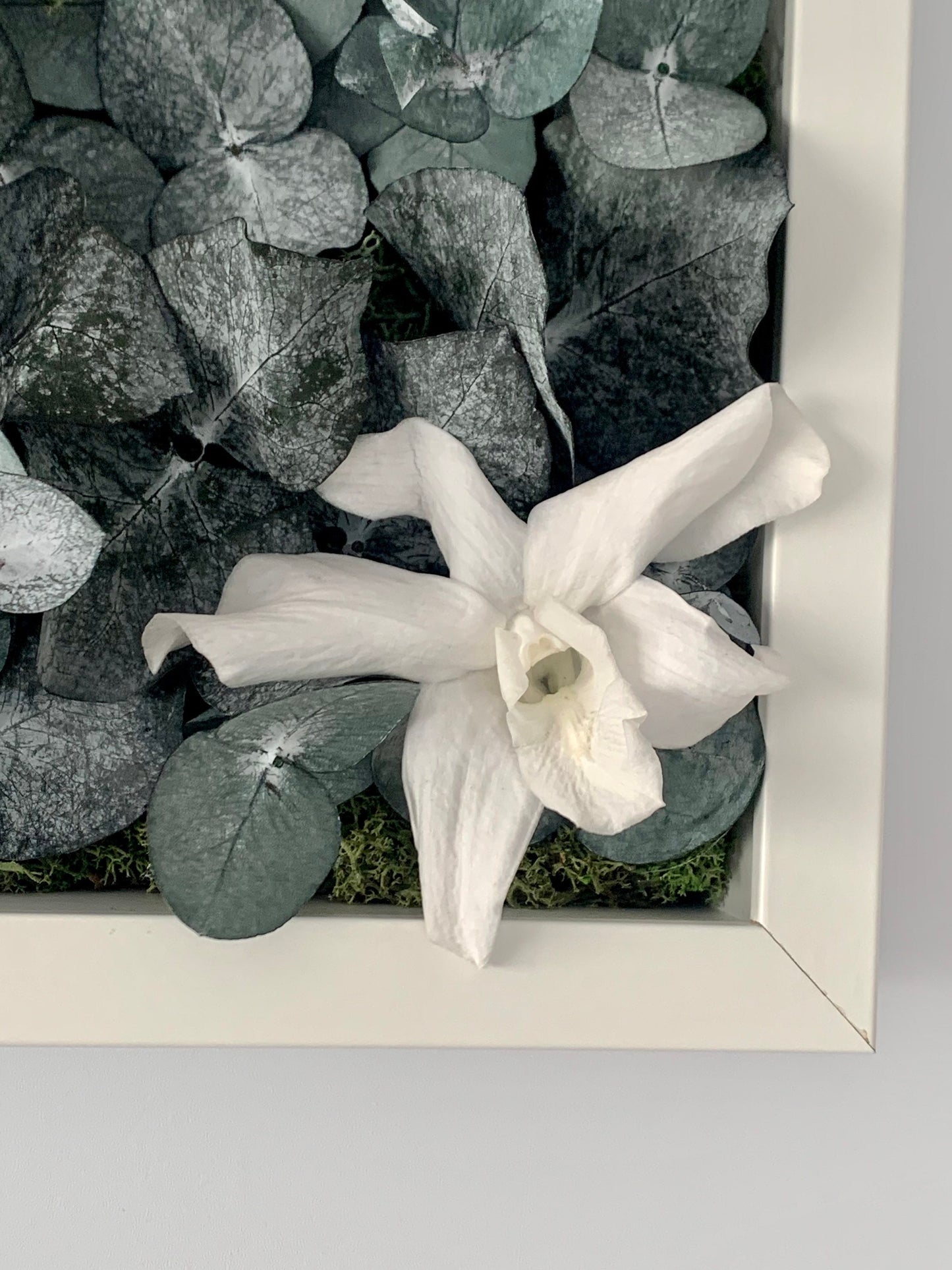 Tableau végétal stabilisé “Lysandra”