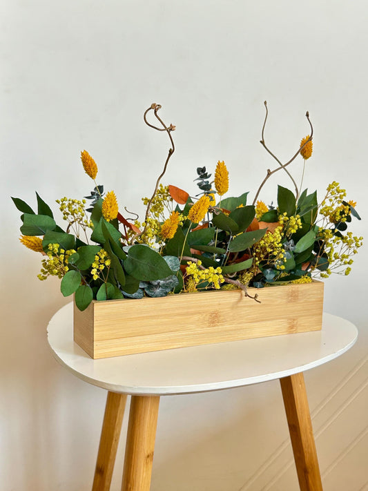 Composition végétale stabilisée “Savanna”