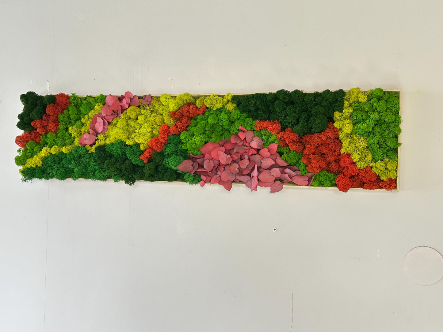 Tableau végétal stabilisé «Coralia»