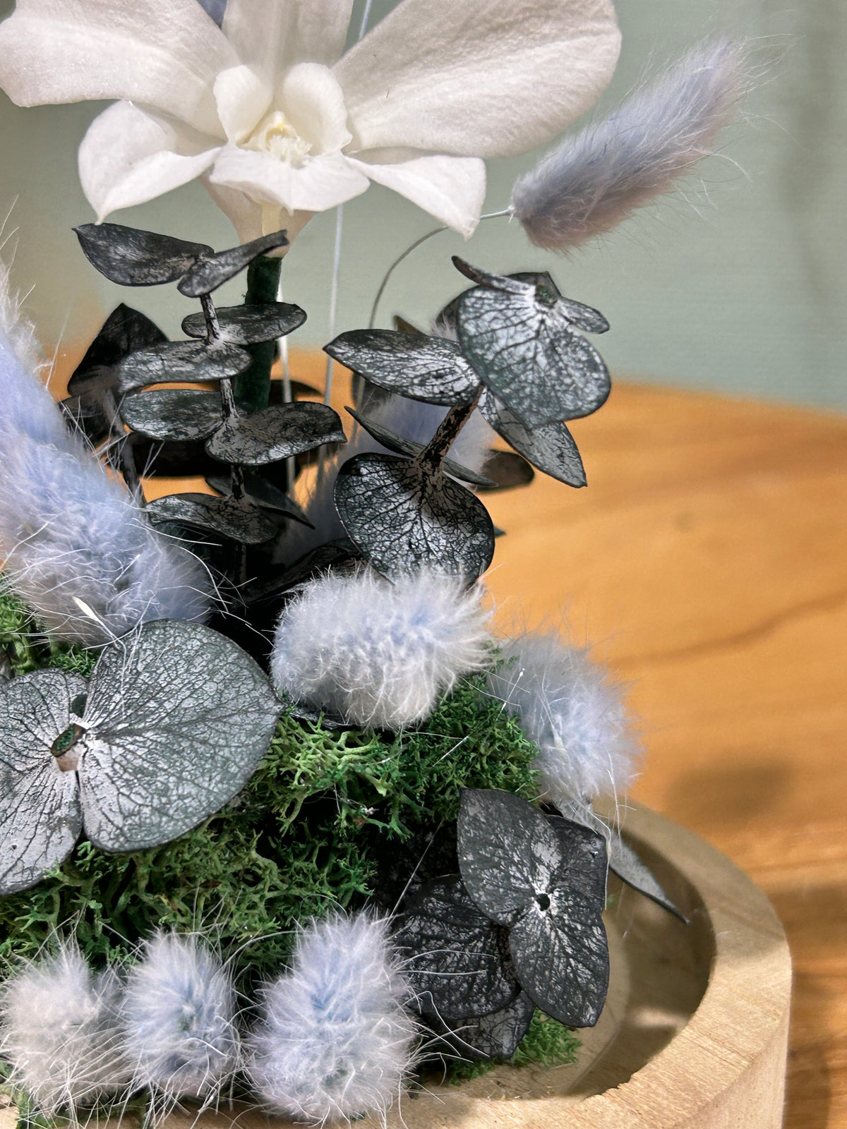 Orchidée blanche sous cloche en verre – Fleurs stabilisées Céleste