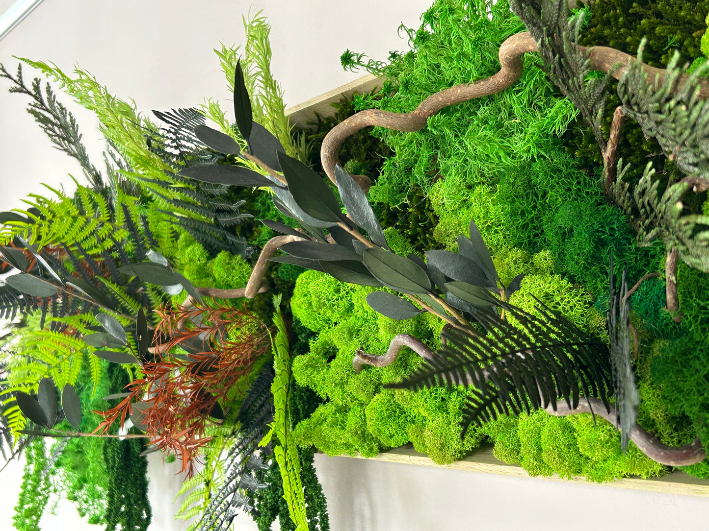 Tableau végétal stabilisé panoramique « Selva »