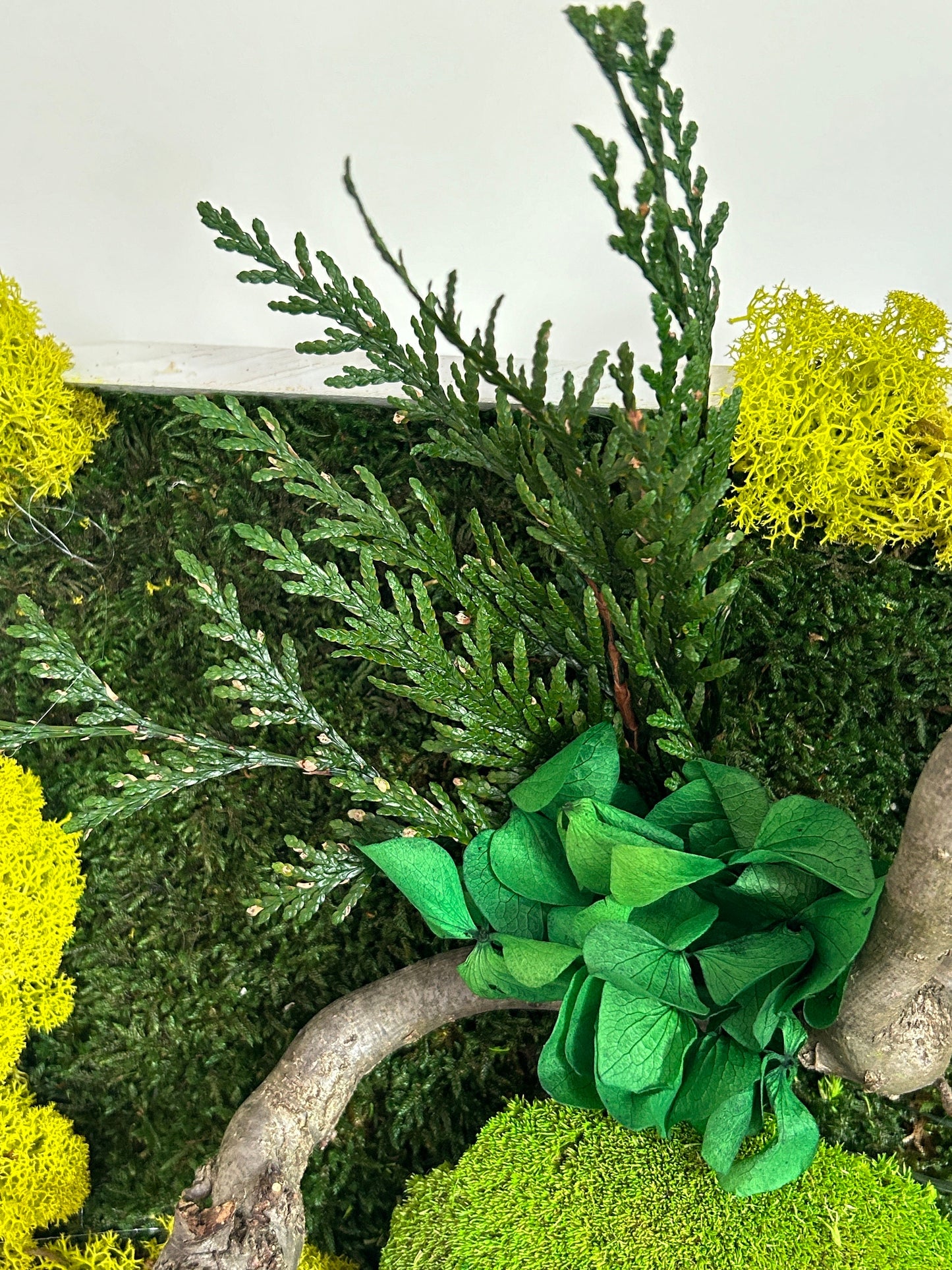 Panneau végétal stabilisé panoramique “Horizon”