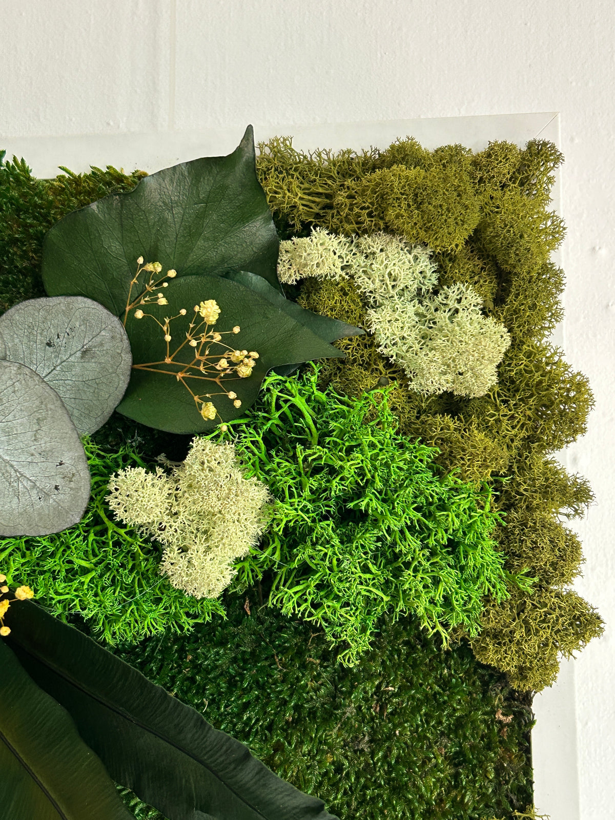 Tableau végétal stabilisé « Jade » – Cadre végétal panoramique – Mousses et plantes naturelles – Décoration murale artisanale