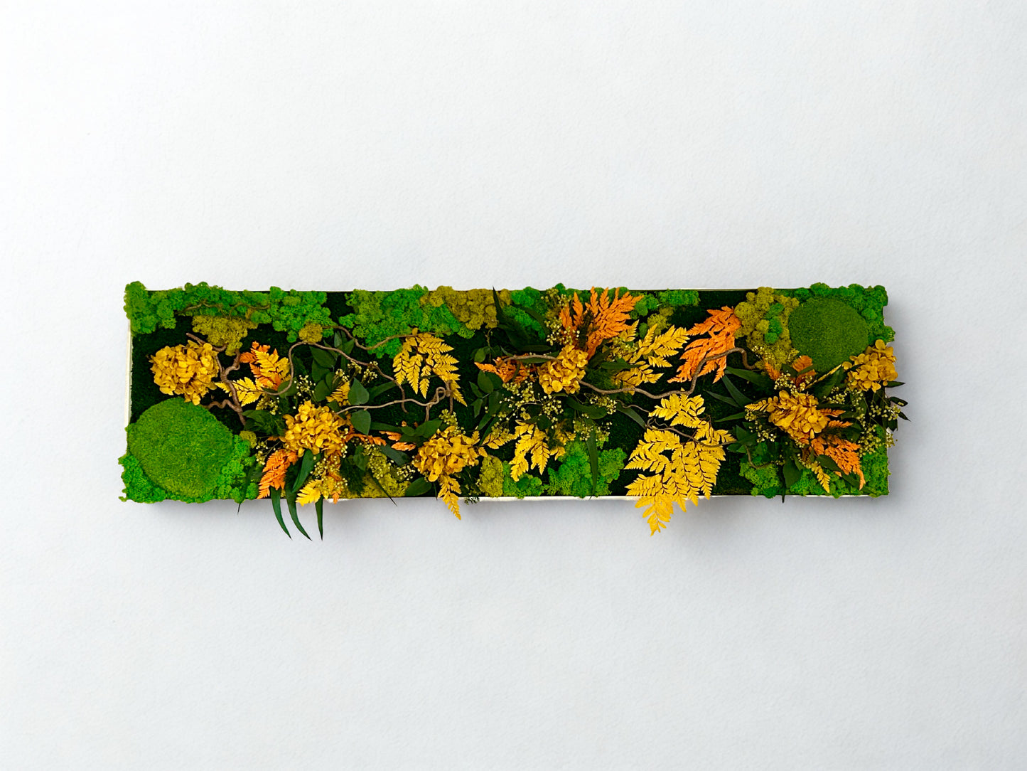 Tableau végétal stabilisé “Rayon Ambre”