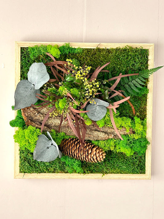 Cadre végétal stabilisé “Forêt”