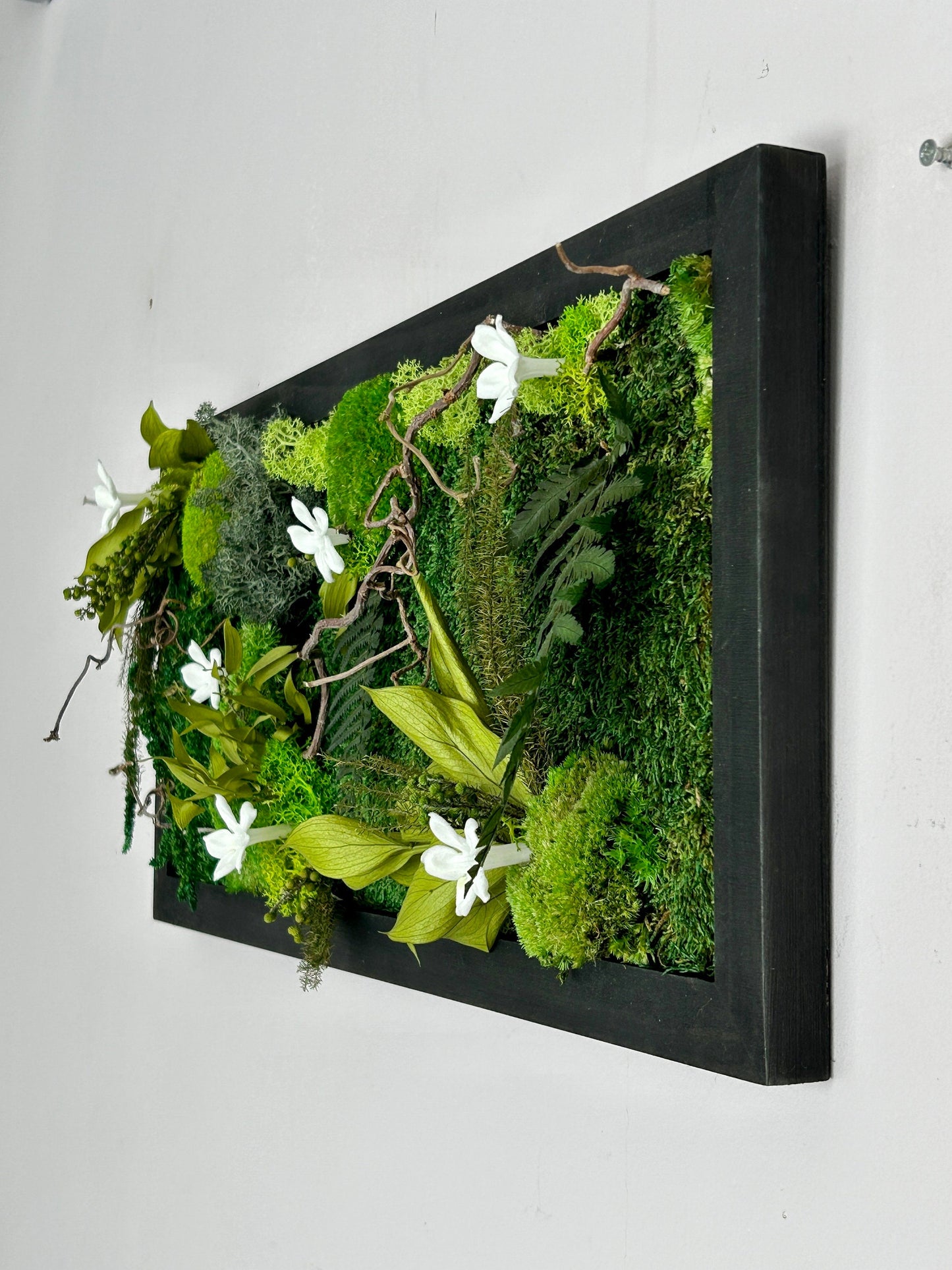 Tableau végétal stabilisé "Jasmin"