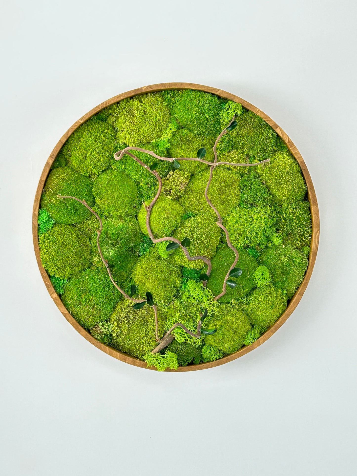 Tableau végétal stabilisé “Auréa”