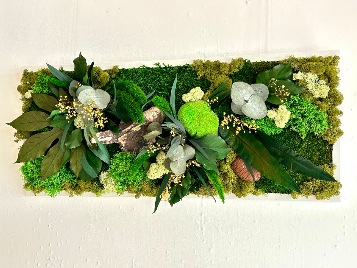 Tableau végétal stabilisé « Jade » – Cadre végétal panoramique – Mousses et plantes naturelles – Décoration murale artisanale